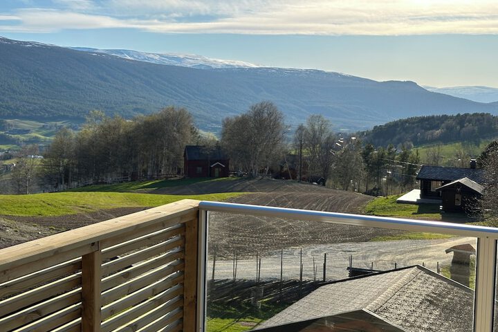 Terrace/Patio 38 of 75