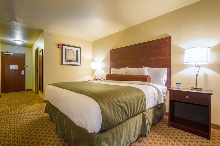 1 King Bed Accessible (6 of 13)