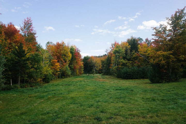 Property Grounds 52 of 55