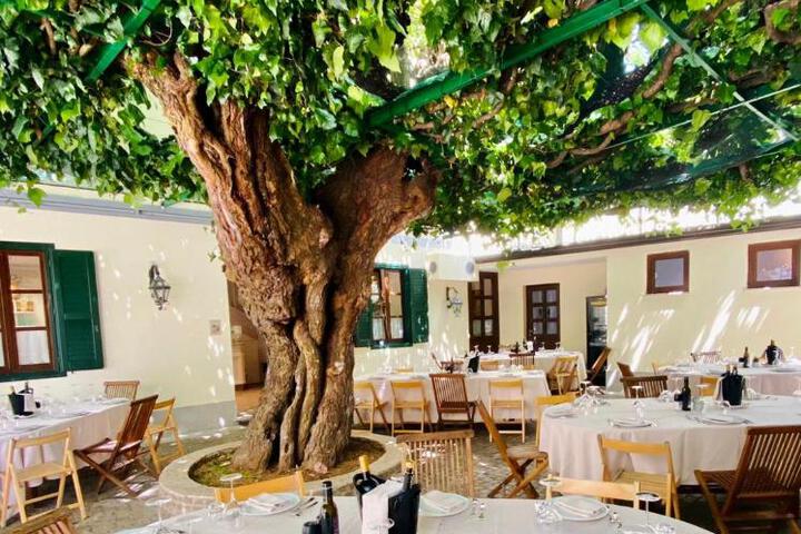 Antica Locanda al Gelso