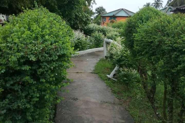 Property Grounds 15 of 38