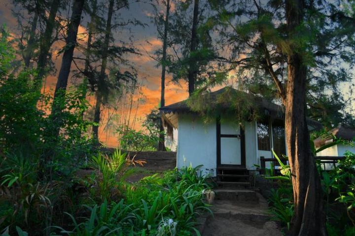 Photo of Exotica - The Beach Resort