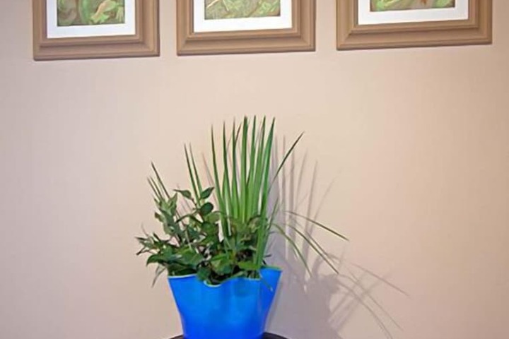 Interior detail