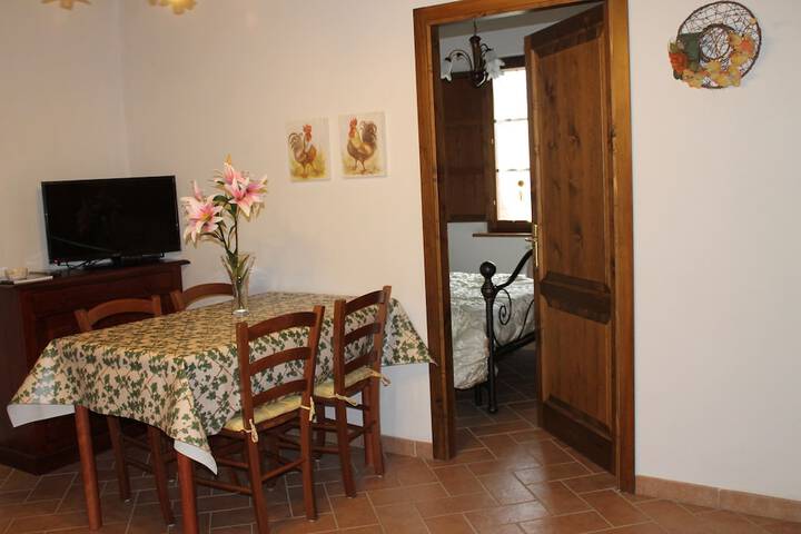 Room 31 of 51