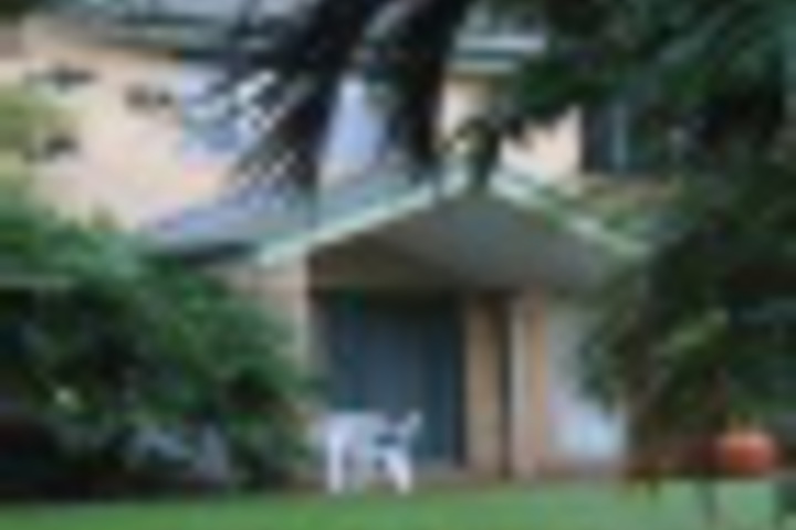 Terrace/Patio 254 of 336