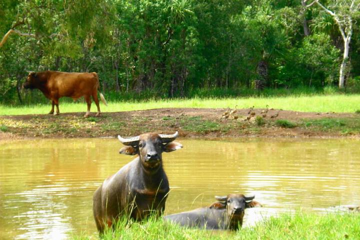 Property Grounds 17 of 24