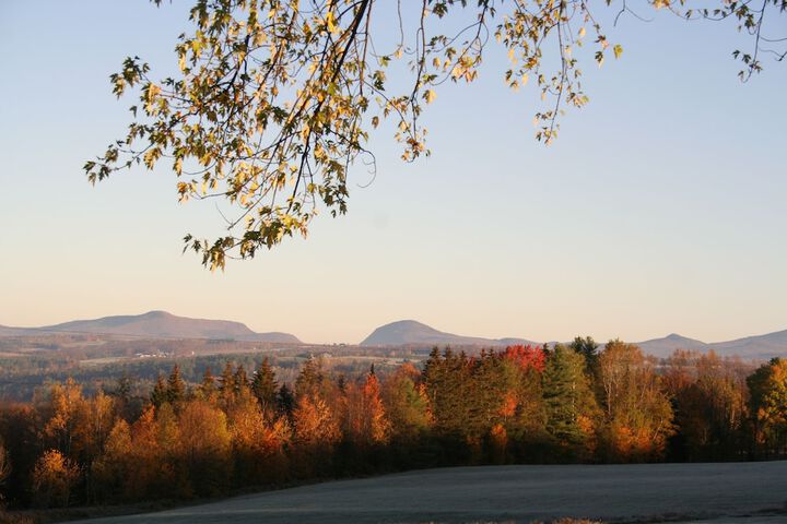 Hotel View 305 of 311