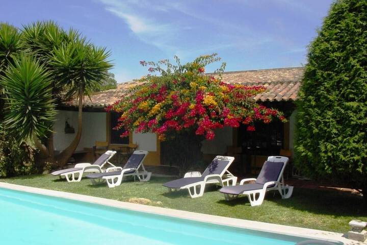 Pool to Cool