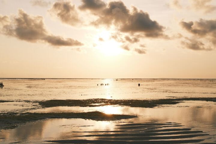 Beach 85 of 115