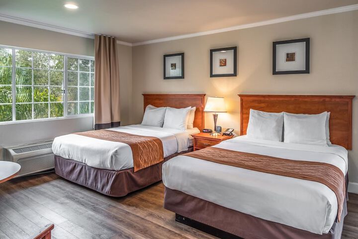 Double Accessible King Size Bed (12 of 15)