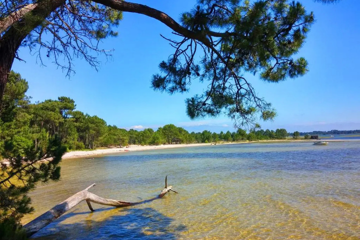 Beach 7 of 20