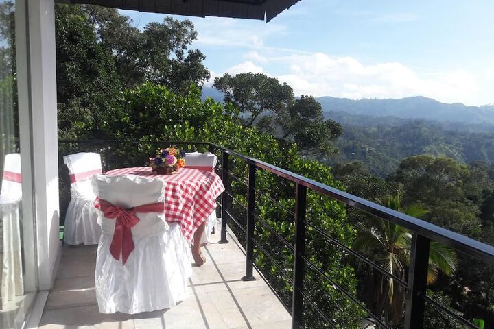 The Onex Paradise Ella