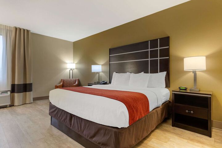 1 King Bed (16 of 16)