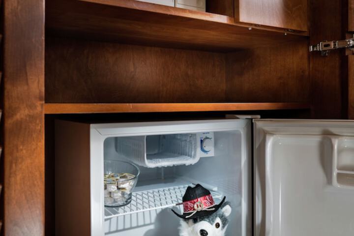 Mini-refrigerator