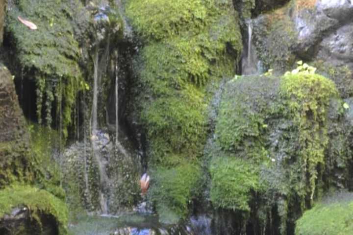Property Grounds 23 of 23