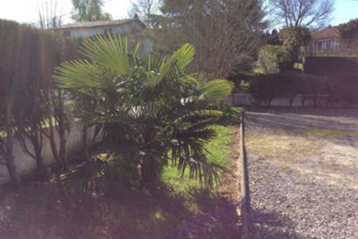 Property Grounds 13 of 22