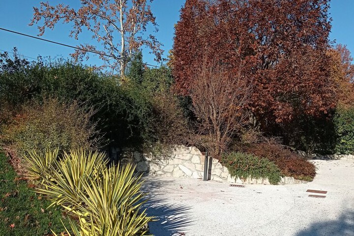 Photo 20