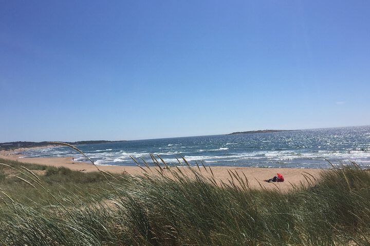 Beach 44 of 49