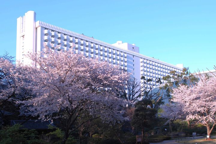 Hotel 234 of 239