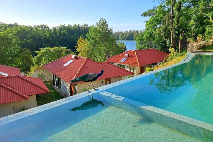 Pool 40 of 77