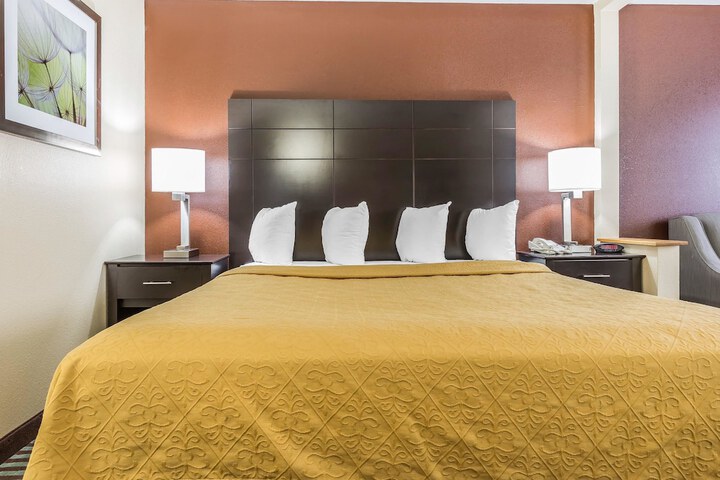 1 King Bed (6 of 10)