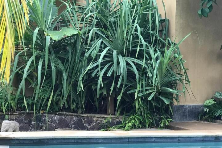 Pool 26 of 38