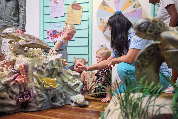 Childrens Activities 91 of 215
