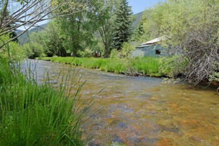 Property Grounds 15 of 21