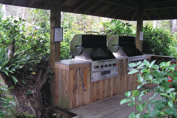 BBQ/picnic area