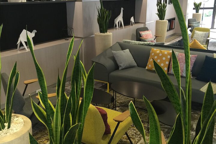 Lobby Photos
