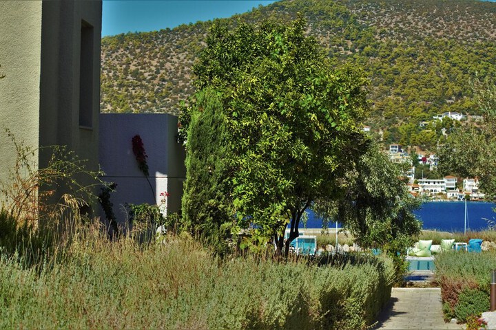 Hotel Exterior 79 of 80