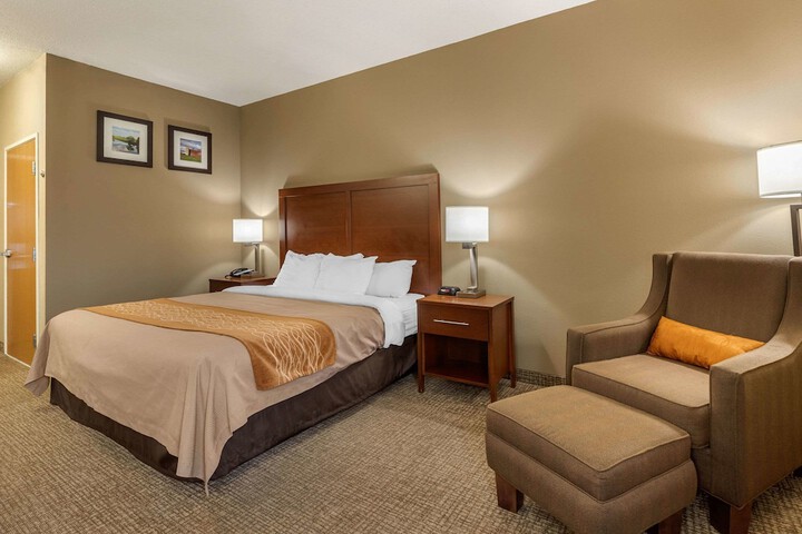 1 King Bed (3 of 9)