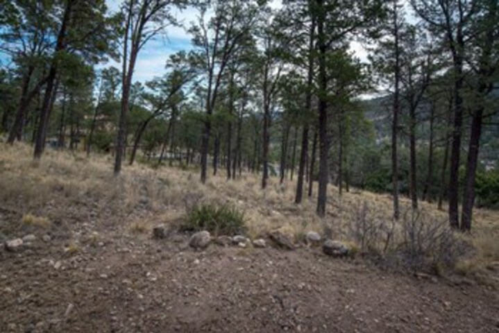 Property Grounds 14 of 22