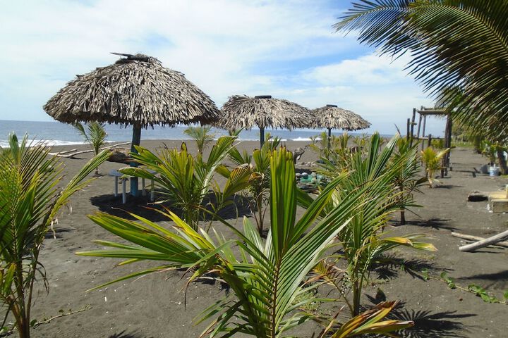 Beach 205 of 228