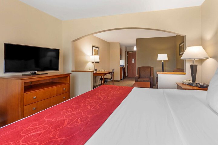 1 King Bed Suite (15 of 44)