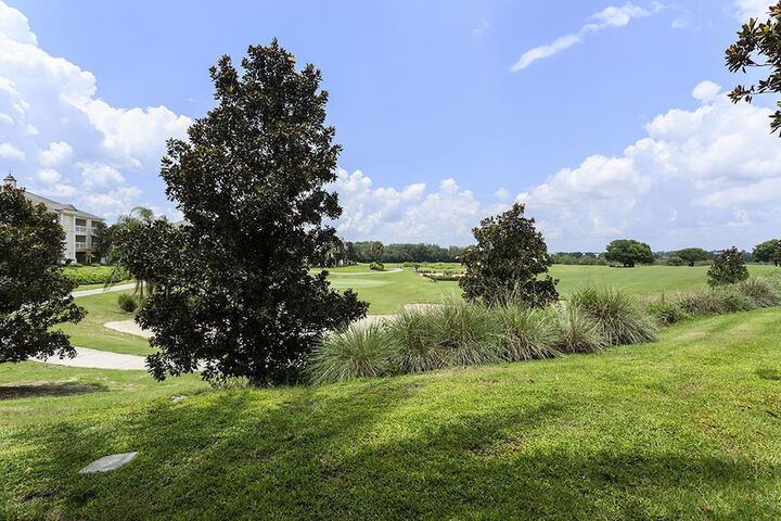 Property Grounds 18 of 18