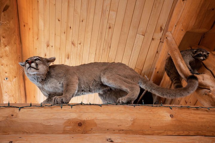 Hotel Interior 7 of 292