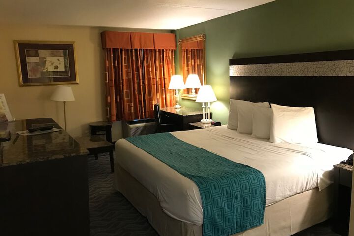 1 King Bed (5 of 11)