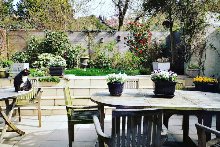 Garden view