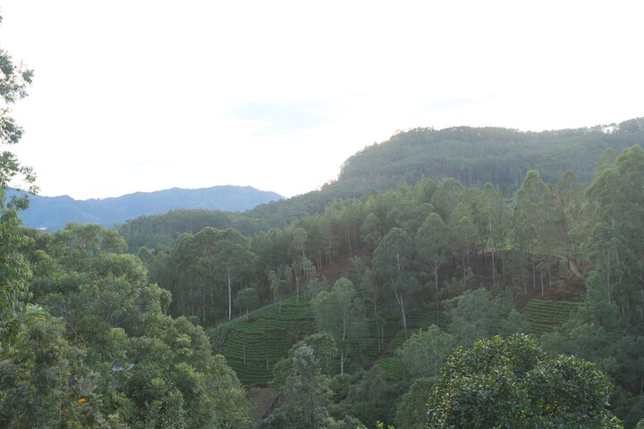 Hotel View 115 of 116