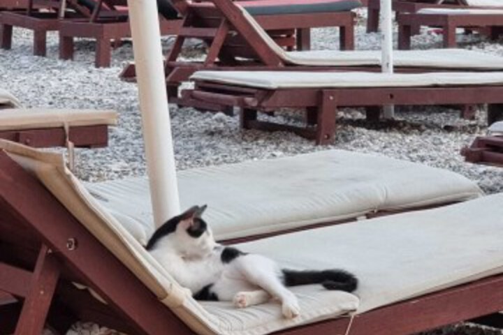Sundeck 76 of 88