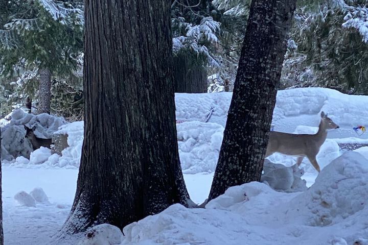 Hotel View 257 of 292