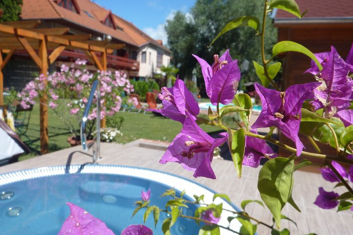 Pool 66 of 86