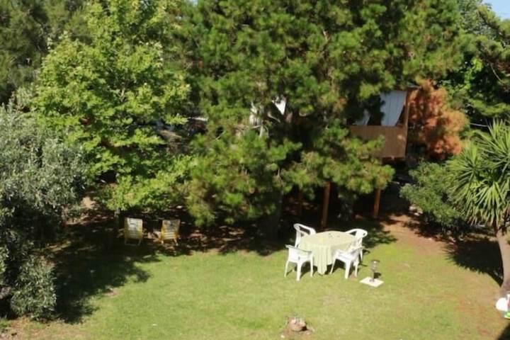 Property Grounds 29 of 51