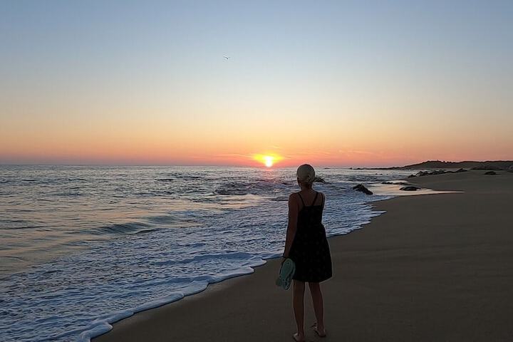 Beach 99 of 229