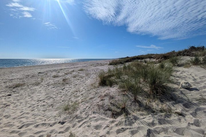 Beach 22 of 29