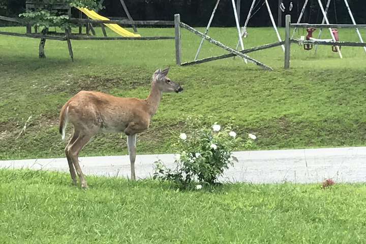 Property Grounds 16 of 20