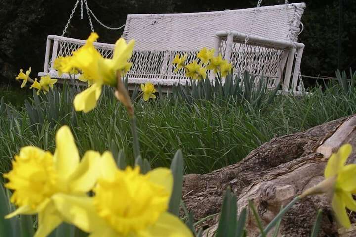 Hotel Exterior 32 of 35