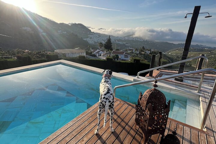 Pet Friendly 90 of 134