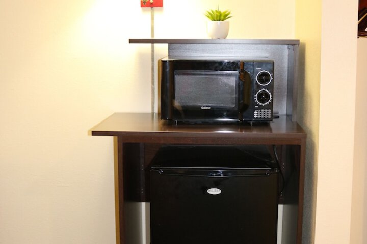 Mini-refrigerator